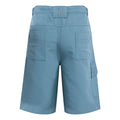Coronet Blue - Back - Regatta Childrens-Kids Sorcer II Shorts