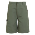 Agave Green - Front - Regatta Childrens-Kids Sorcer II Shorts