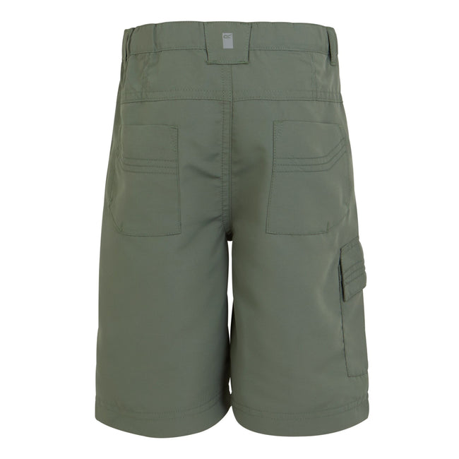 Agave Green - Back - Regatta Childrens-Kids Sorcer II Shorts