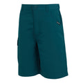 Moroccan Blue - Side - Regatta Childrens-Kids Sorcer II Shorts