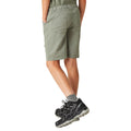 Agave Green - Pack Shot - Regatta Childrens-Kids Sorcer II Shorts