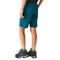 Moroccan Blue - Pack Shot - Regatta Childrens-Kids Sorcer II Shorts