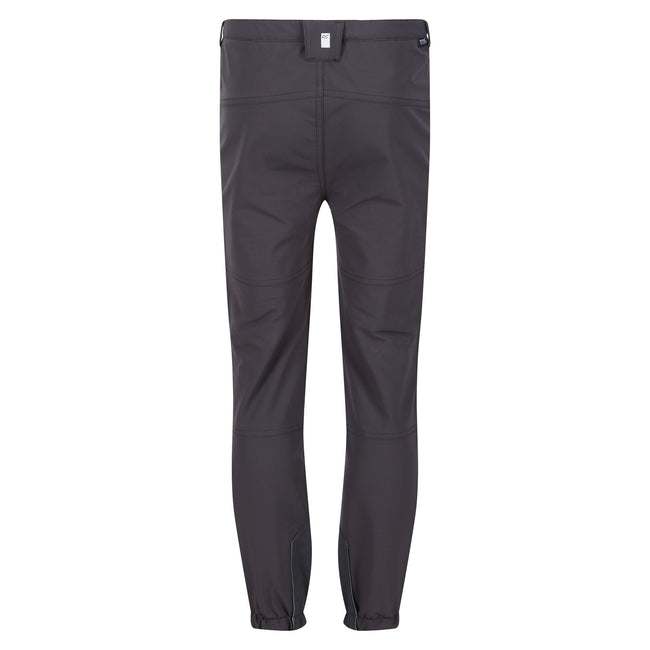 Seal Grey-Apricot Crush - Back - Regatta Childrens-Kids Tech Mountain Hiking Trousers