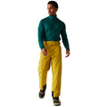 Gold Flake - Lifestyle - Dare 2B Mens Achieve II Ski Trousers