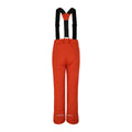 Rooibos Tea - Back - Dare 2B Mens Achieve II Ski Trousers