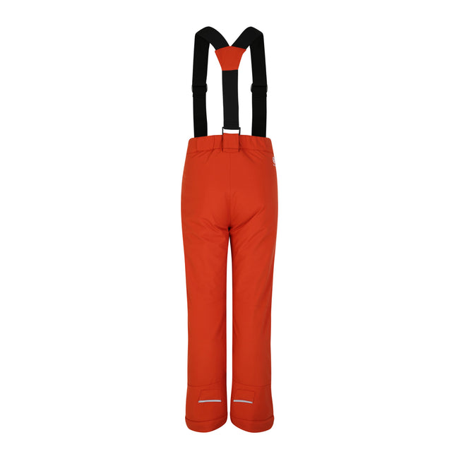 Rooibos Tea - Back - Dare 2B Mens Achieve II Ski Trousers