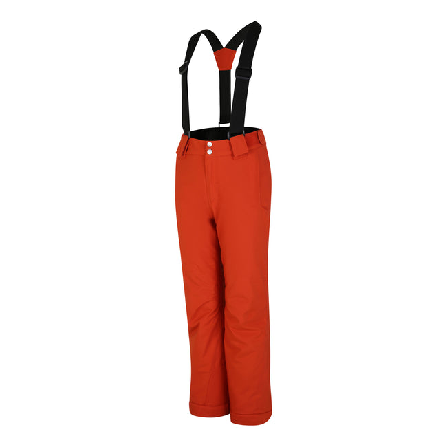 Rooibos Tea - Side - Dare 2B Mens Achieve II Ski Trousers