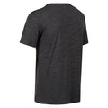 Ash Marl - Lifestyle - Regatta Mens Fingal Edition T-Shirt