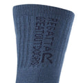 Dark Denim-Dark Red - Side - Regatta Mens Blister Protection II Socks (Pack of 2)