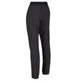 Ash-Black - Pack Shot - Regatta Womens-Ladies Mountain III Walking Trousers