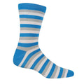 Light Steel-Blue - Side - Regatta Womens-Ladies Lifestyle Ankle Socks Set (Pack of 4)