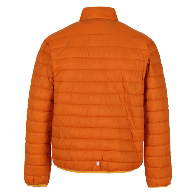 Fox - Back - Regatta Mens Hillpack Quilted Insulated Jacket