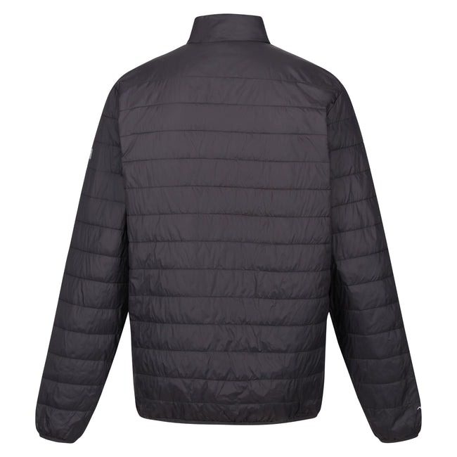 Ash-Orange Pepper - Back - Regatta Mens Hillpack Quilted Insulated Jacket