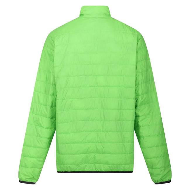 Jasmine Green-Field Green - Back - Regatta Mens Hillpack Quilted Insulated Jacket