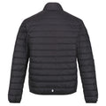 Ash - Back - Regatta Mens Hillpack Quilted Insulated Jacket