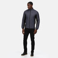 Seal Grey-Black - Back - Regatta Professional Mens Hybrid Jacket