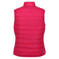 Pink Potion - Back - Regatta Womens-Ladies Hillpack Insulated Body Warmer