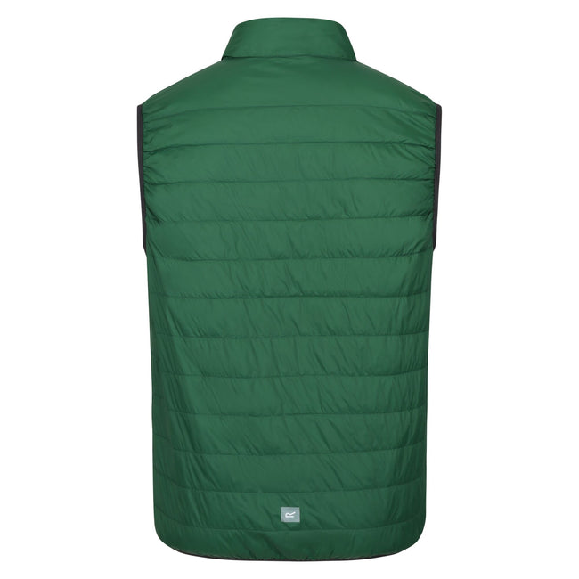 Eden - Back - Regatta Mens Hillpack Insulated Body Warmer