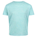 Turquoise - Front - Regatta Childrens-Kids Fingal T-Shirt