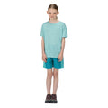 Turquoise - Back - Regatta Childrens-Kids Fingal T-Shirt