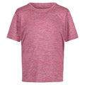 Fragrant Lilac - Front - Regatta Childrens-Kids Fingal T-Shirt