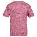 Fragrant Lilac - Back - Regatta Childrens-Kids Fingal T-Shirt