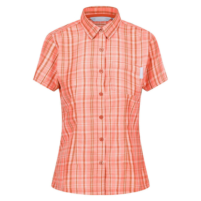 Fusion Coral - Front - Regatta Womens-Ladies Mindano VI Checked Short-Sleeved Shirt