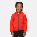 Fiery Red - Back - Regatta Childrens-Kids Highton Lite II Soft Shell Jacket