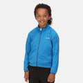 Imperial Blue - Back - Regatta Childrens-Kids Highton Lite II Soft Shell Jacket