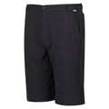Seal Grey - Side - Regatta Mens Highton Walking Shorts