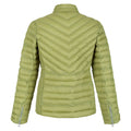 Green Fields - Back - Regatta Womens-Ladies Kamilla Insulated Jacket