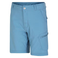 Niagara Blue - Side - Dare 2B Childrens-Kids Reprise II Shorts