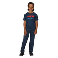Moonlight Denim - Back - Regatta Childrens-Kids Alvarado VI Mountain T-Shirt