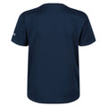 Moonlight Denim - Close up - Regatta Childrens-Kids Alvarado VI Mountain T-Shirt