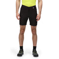 Black-India Grey - Close up - Regatta Mens Mountain II Shorts