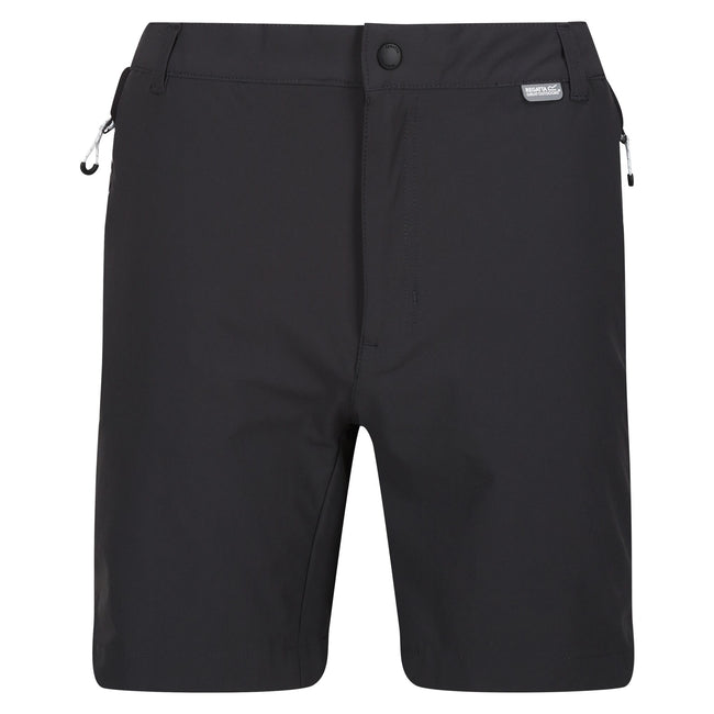 Ash-Black - Front - Regatta Mens Mountain II Shorts