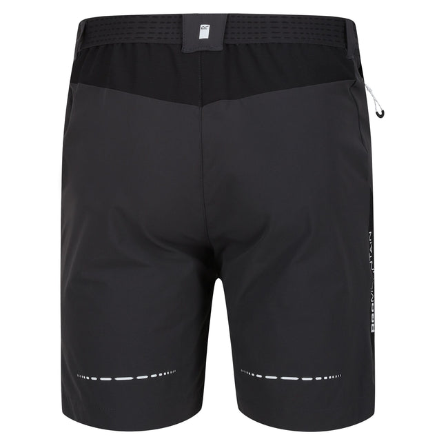 Ash-Black - Back - Regatta Mens Mountain II Shorts
