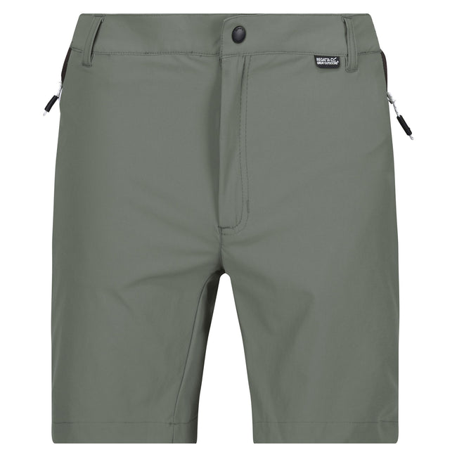 Agave Green-Ash - Front - Regatta Mens Mountain II Shorts