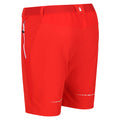 Fiery Red - Close up - Regatta Mens Mountain II Shorts