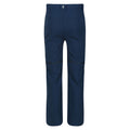Blue Wing - Back - Regatta Childrens-Kids Highton Stretch Zip-Off Walking Trousers