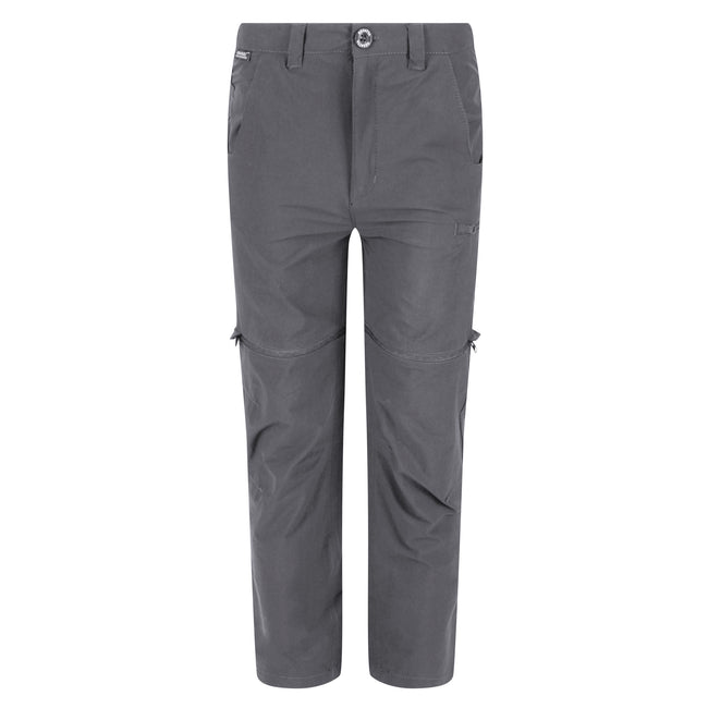 Seal Grey - Front - Regatta Childrens-Kids Highton Stretch Zip-Off Walking Trousers