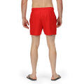 True Red - Pack Shot - Regatta Mens Mawson II Swim Shorts