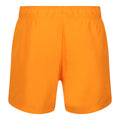 Orange Soda - Back - Regatta Mens Mawson II Swim Shorts