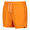 Orange Soda - Side - Regatta Mens Mawson II Swim Shorts