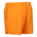 Orange Soda - Lifestyle - Regatta Mens Mawson II Swim Shorts