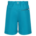 Enamel-Turquoise - Lifestyle - Regatta Childrens-Kids Sorcer II Mountain Shorts