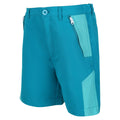 Enamel-Turquoise - Pack Shot - Regatta Childrens-Kids Sorcer II Mountain Shorts