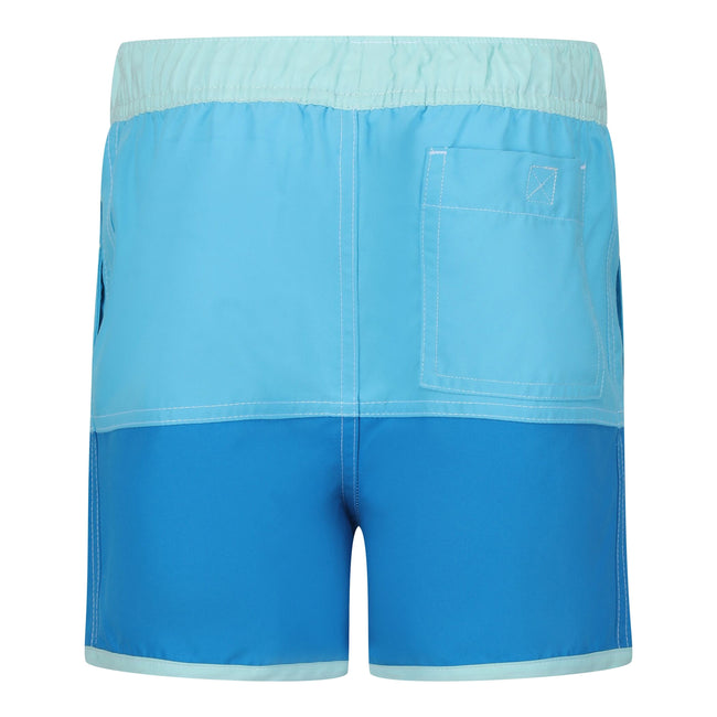 Aquarius-Indigo Blue - Back - Regatta Childrens-Kids Sergio Swim Shorts