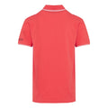 Red Sky-White - Back - Regatta Mens Tadeo Polo Shirt