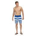 Lapis Blue - Back - Regatta Mens Hamza Striped Swim Shorts